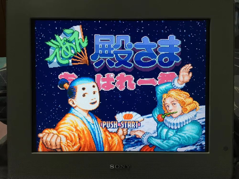 16bits game cards : 84 IN 1 ca - Japanese For Lifestyle 评论和价格